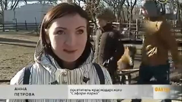 Кубань24 посетили Краснодарский зоопарк "Сафари-парк". смотреть онлайн