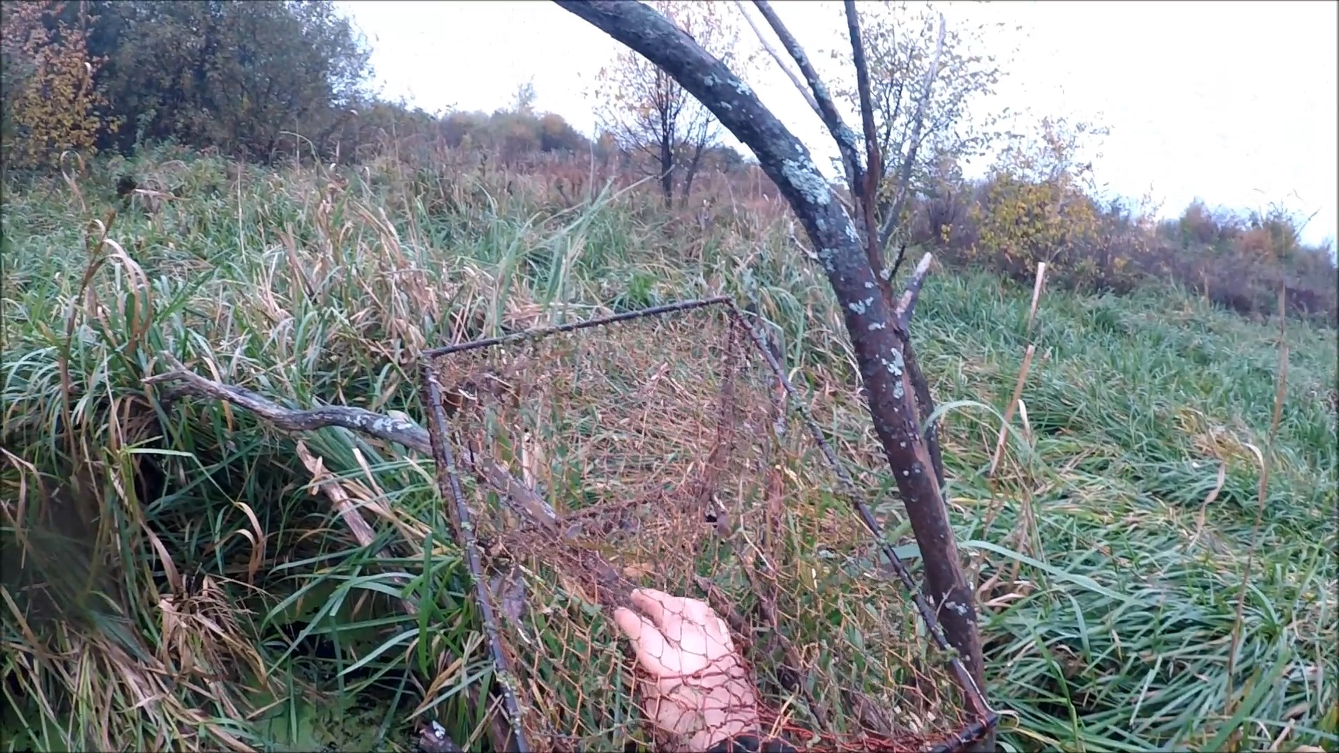 Проверка морд на ондатру (Будни охотника и рыбака) смотреть онлайн