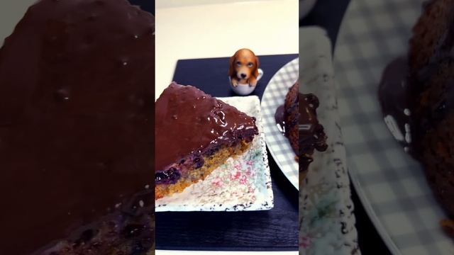 Кишки и галеты