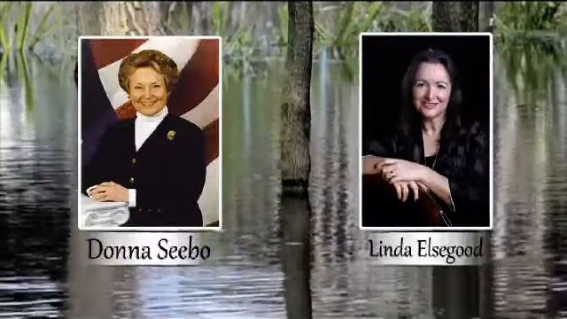Donna Seebo interviewed Linda Elsegood to talk about The LDN Book 2016 смотреть онлайн