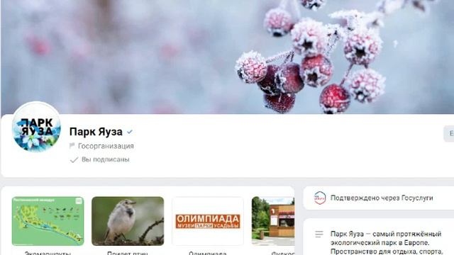 2.02.2023 Концепция ГАУ Парк Яуза смотреть онлайн