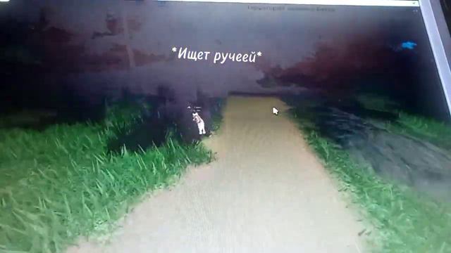 Как ловить рыбу в wcue!? смотреть онлайн