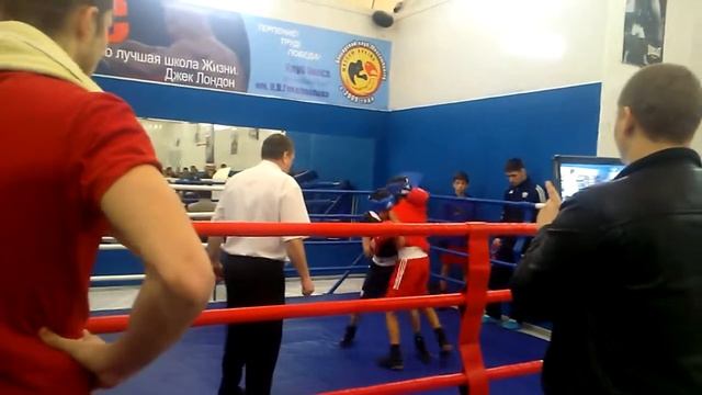 Турнир Градополова 16 марта 2014 Алексеев Никита бокс клуб Белый Лотос Москва смотреть онлайн