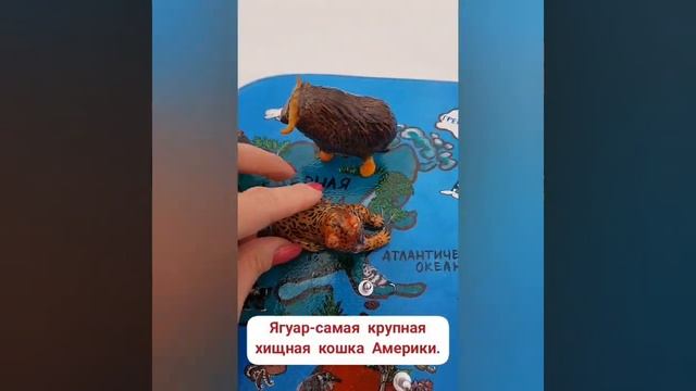 МАТЕРИКИ. Северная Америка