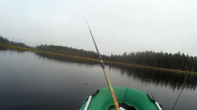 Карелия. Август. Рыбалка на поплавок и спиннинг на маленькой ламбушке. Олень. смотреть онлайн