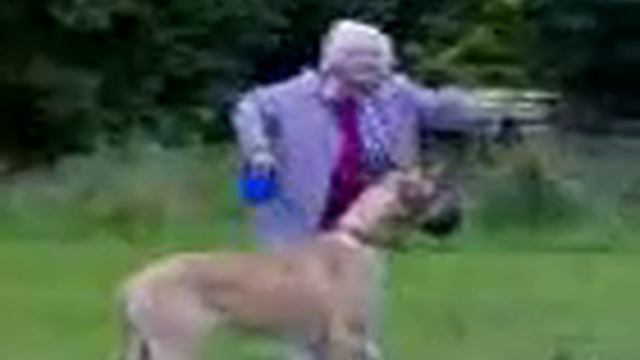 Летающая бабушка!))) смотреть онлайн