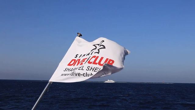 Egypt. Red sea. Sharm-El-Sheikh. Самое синее Красное море. смотреть онлайн