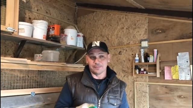 Выбираем самую рентабельную и вкусную мясную курицу. Финал 45 дней. смотреть онлайн