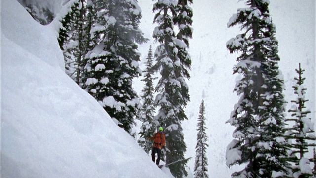 The Way I See It (Matchstick Productions, 2010) смотреть онлайн