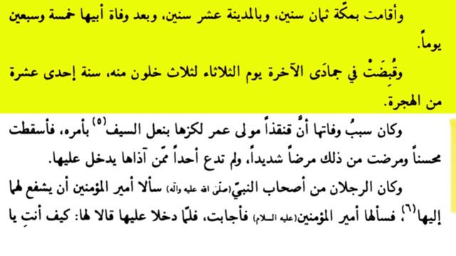 TRUTH BEHIND THE LADY OF HEAVEN!!! | YASSER AL-HABIB | @RafidaPlus смотреть онлайн