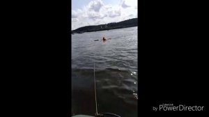 Потянет ли доску мотор Ямаха 6 л.с.