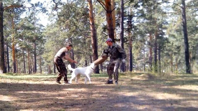 Тэнгри 'ЗКС' 11 месяцев май 2017 смотреть онлайн