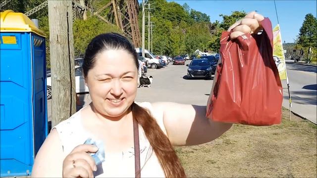 #227 КУЛЬТУРА: выставка художников в Квебеке, обзор работ и цен, Канада