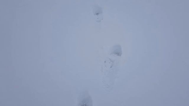 Утиные истории или рыбалка на снегоходах на Волге в Ульяновской области. В конце видео бонус) смотреть онлайн