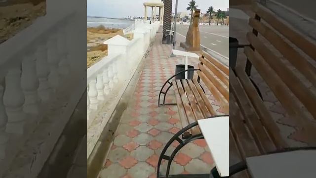 Пальмы в Актау смотреть онлайн