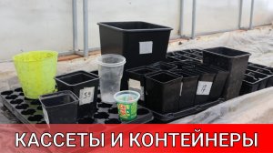 как я выбрал самые удобные кассеты для рассады