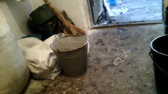 Видео ответ про козу как содержать козЖизнь в деревне 