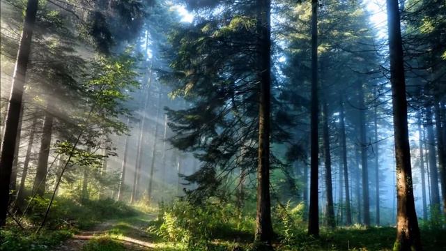 Россия, Русь! смотреть онлайн