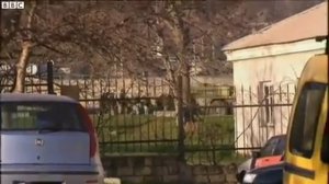 Штурм авиабазы Бельбек