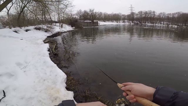 Самый дорогой СПИННИНГ в мире на ГОЛАВЛЯ! Голавль на Спиннинг Рыбалка на голавля! Обзор UFM STS смотреть онлайн