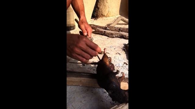 Eating a rat for breakfast ! Does this sound crazy? Watch! смотреть онлайн