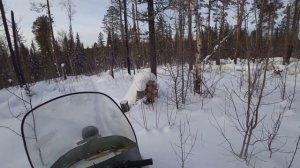 Добрались до избы на снегоходе Буран АДЕ