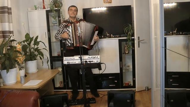 midi Akkordeon. J.Rohr "Tance Samba mit mir" смотреть онлайн