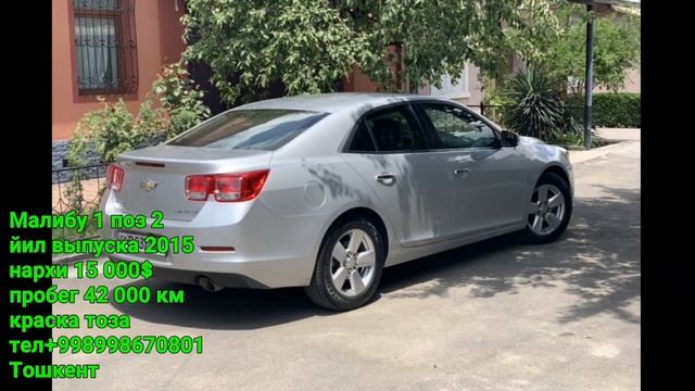 MALIBU 1 NARXLARI,  МАЛИБУ 1 НАРХЛАРИ