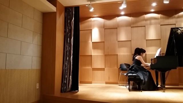 Johannes Brahms #勃拉姆斯 Hungarian dance no.1/ no.2 / no.5 #匈牙利舞曲 duet piano 双人钢琴 play the piano 弹钢琴 смотреть онлайн