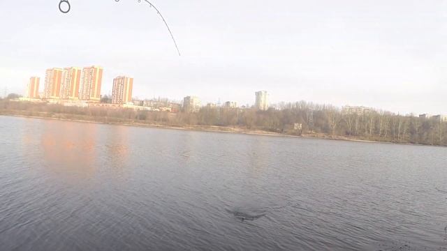 Открытие сезона ЗИМНЕГО СПИННИНГА на МОСКВА-РЕКЕ!!! Ловля щуки на спиннинг зимой!!! смотреть онлайн