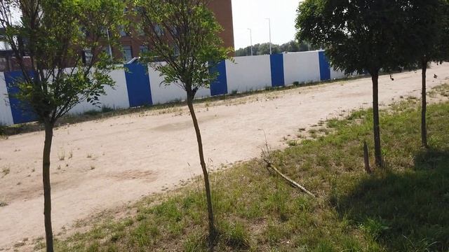 Октябрьский остров в Калининграде. Как застраивается. Строительство музейно-образовательного центра смотреть онлайн