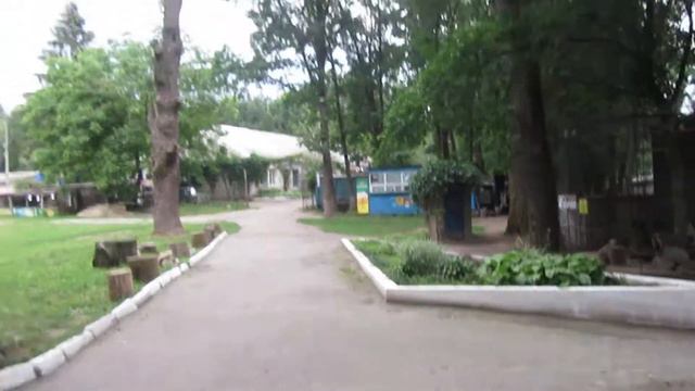 2018.06.24 Белая Церковь - Александрия - Зоопарк 07 смотреть онлайн