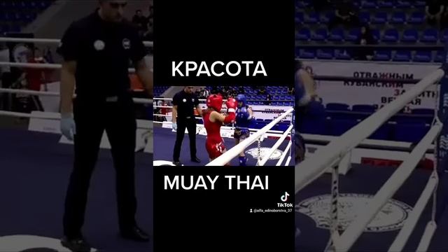 тайский бокс, MUAYTHAI