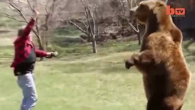 САМЫЙ БОЛЬШОЙ МЕДВЕДЬ ГРИЗЛИ КОТОРОГО Я ВИДЕЛ ! ! ! смотреть онлайн