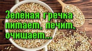 ПОЛЬЗА ЗЕЛЕНОЙ ГРЕЧКИ. ОТЛИЧИЕ ЗЕЛЕНОЙ ГРЕЧКИ ОТ КОРИЧНЕВОЙ. СПОСОБЫ ПРИГОТОВЛЕНИЯ ЗЕЛЕНОЙ ГРЕЧКИ