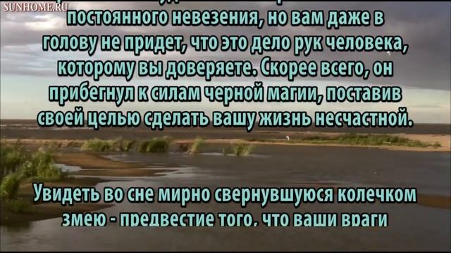 К чему снится Змея сонник, толкование сна смотреть онлайн