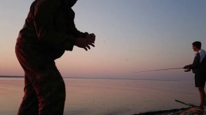 Ловля судака на спининг джиг рыбалка 2021 Волга Камышин Судак летом видео водохранилище
