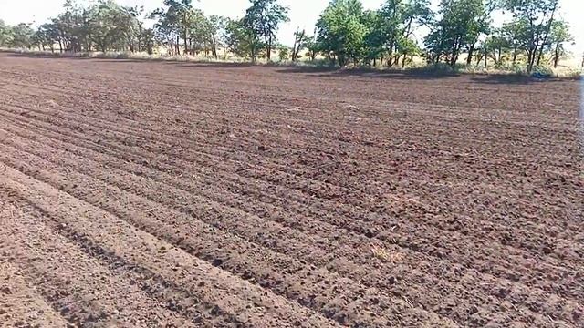 Культиватор предпосевной обработки почвы КПО-16. Испытания. смотреть онлайн