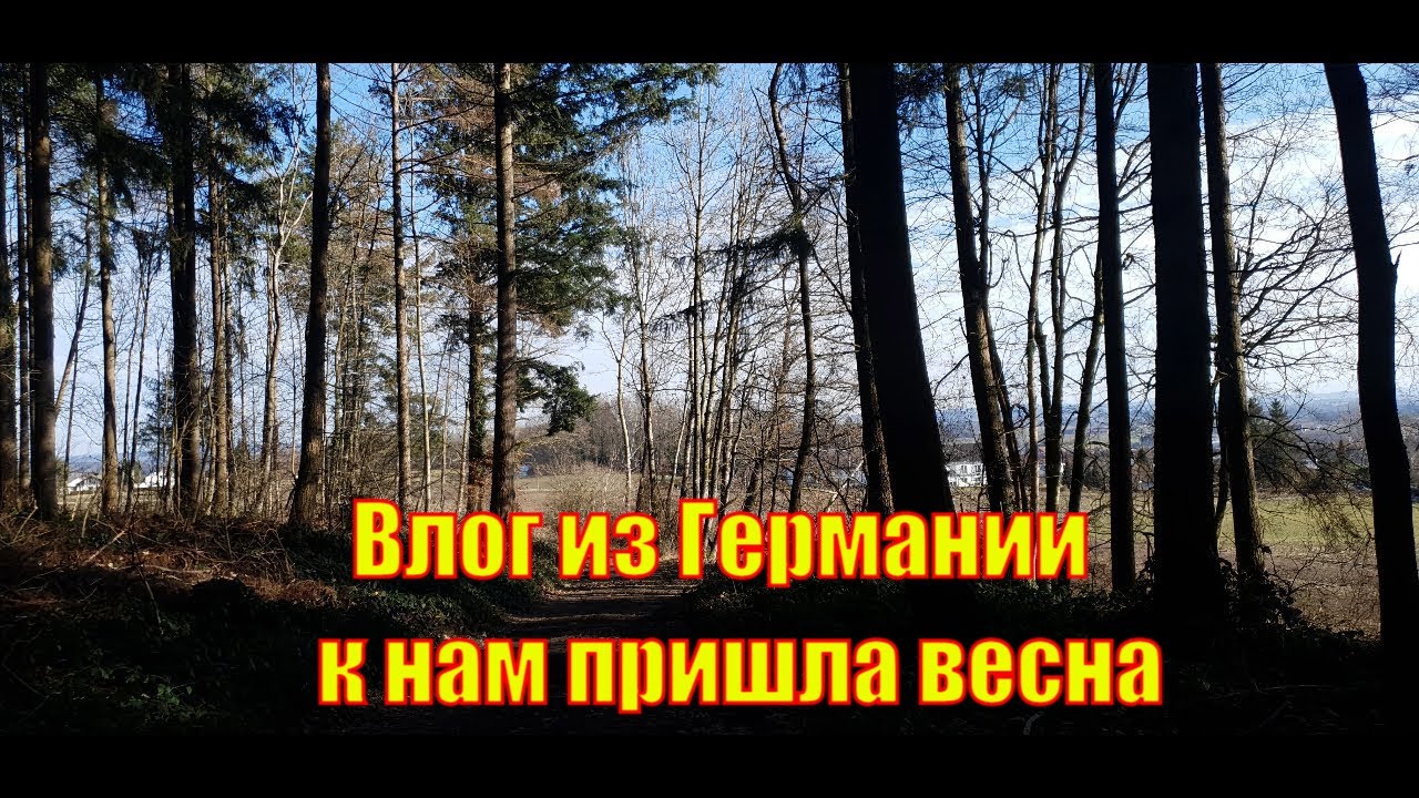 Влог из Германии-Привет Весна, сезон прогулок по лесу Открыт