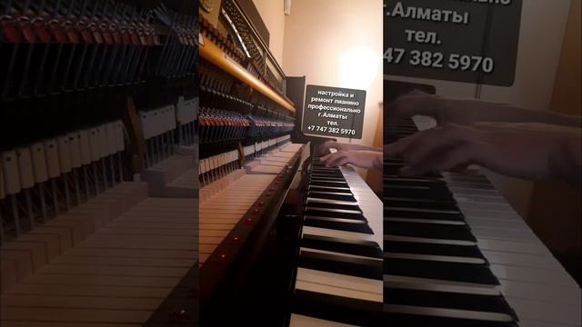 вступление к песне... отчизна моя дорогая. смотреть онлайн