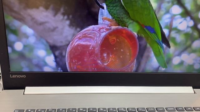 Ноут Lenovo 80XW