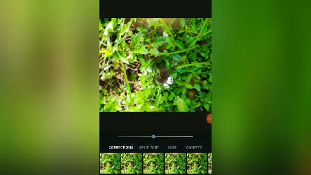 PHOTOSHOP Express смотреть онлайн