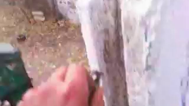 Видео0000 смотреть онлайн
