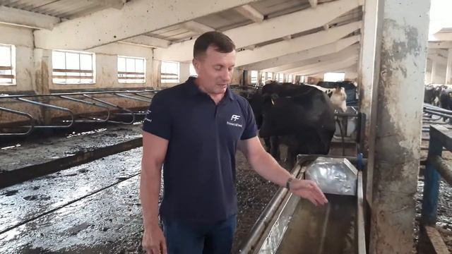 Сколько пьет корова. Поение коров. Поилки для коров.