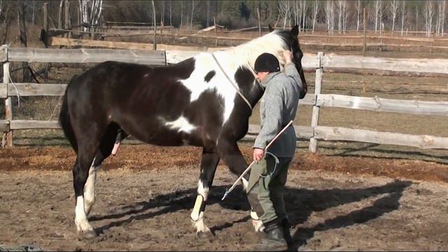 Мягкие методики. Работа с Техассом смотреть онлайн
