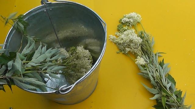 Самая лучшая баня. Сбор трав. смотреть онлайн