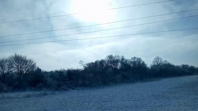 Ослы видят джинов смотреть онлайн