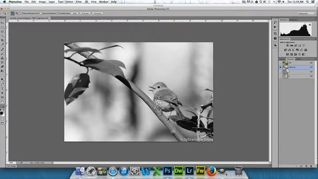 sharpening in photoshop with lab color смотреть онлайн