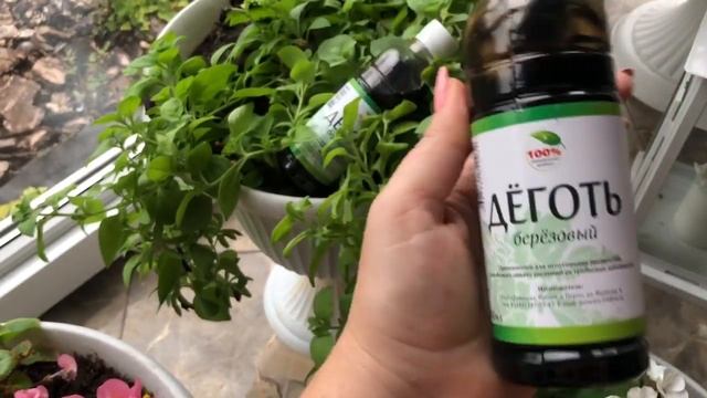 Чудо Средство ??♀️ Избавит От насекомых вредителей ??и Грызунов ? смотреть онлайн