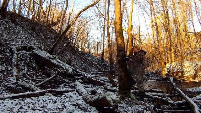 Залесть на дерево для засидки или обрезки мешающих веток возле дома смотреть онлайн